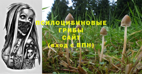 ешки Абаза