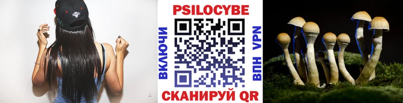 Галлюциногенные грибы Cubensis  Шумиха 