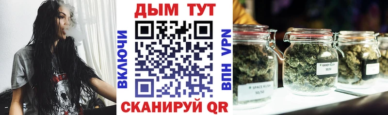 где найти   Шумиха  Конопля планчик 